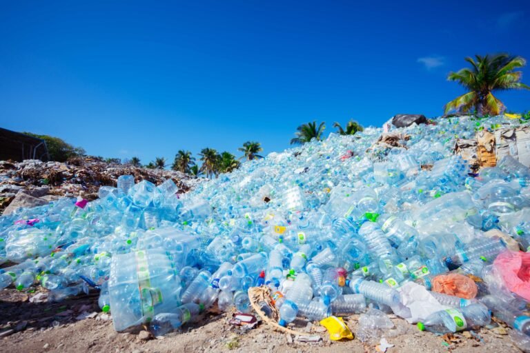 The Fight Against Plastic Pollution New Initiatives Around the World